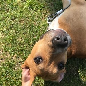 Meet your Posher, Grace